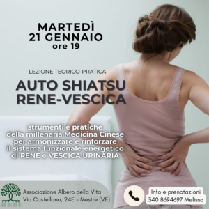 auto_shiatsu_gennaio_mestre_reni_vescica_inverno