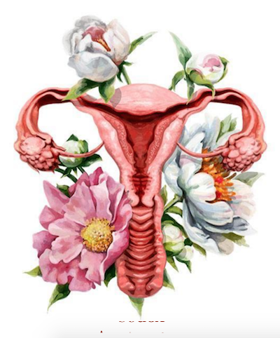 body_literacy_ciclo_mestruale_melissa_venezia