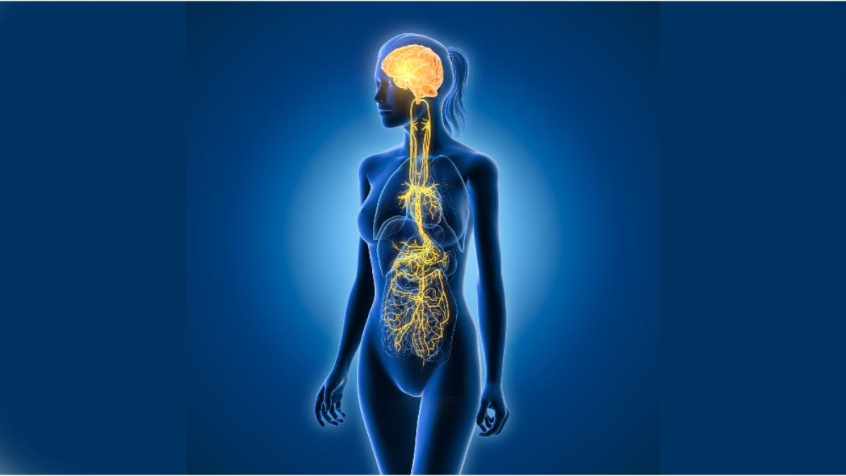 nervo_vago_autostima_dolore_cronico_cervicali_shiatsu_melissa