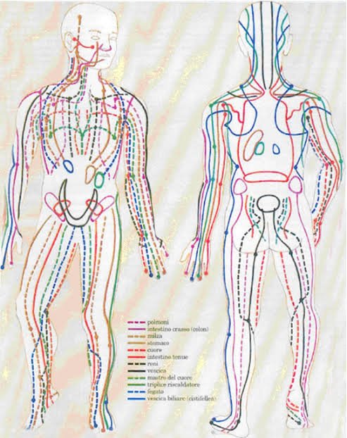 sistema_nervoso_iperattivo_shiatsu_rmedicina_cinese_venezia
